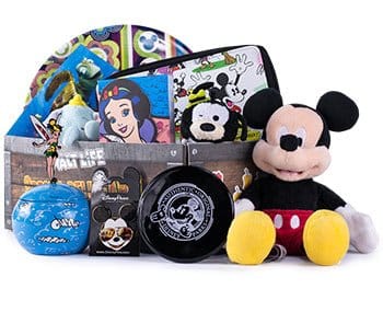 disney subscription boxes